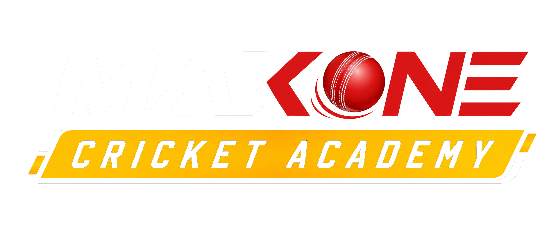 MaxOne Cricket Academy